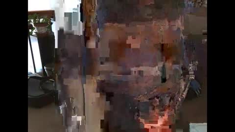 Snapshot of taco456 chatting on 6, 3, 2025 New cock ring for extra pleasure online show from 6, 3, 2025