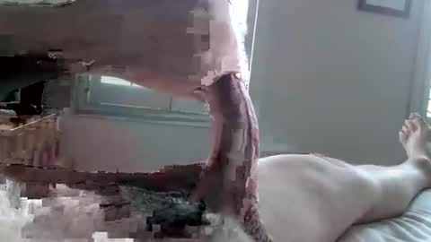 Snapshot of tactful1 chatting on 3, 4, 2026 Tactful1 online show from 3, 4, 2026