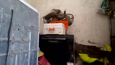 tadfn online show from 27, 2, 2026