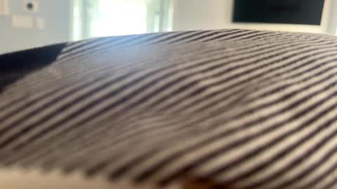 Snapshot of talk2me818 chatting on 2, 1, 2025 talk2me818 online show from 2, 1, 2025