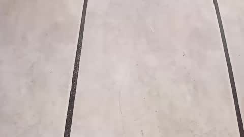 tall6feet7inch online show from 24, 9, 2025