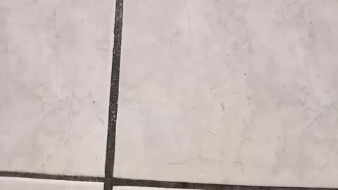 tall6feet7inch online show from 29, 9, 2025