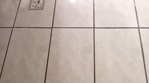 tall6feet7inch online show from 1, 10, 2025