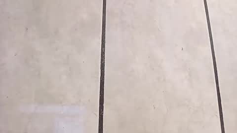 tall6feet7inch online show from 6, 10, 2025