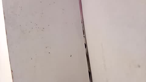 Snapshot of tall6feet7inch chatting on 15, 2, 2026 tall6feet7inch online show from 15, 2, 2026