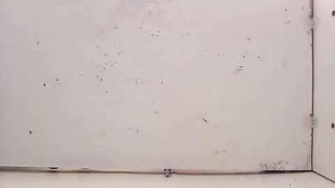 Snapshot of tall6feet7inch chatting on 27, 2, 2026 tall6feet7inch online show from 27, 2, 2026