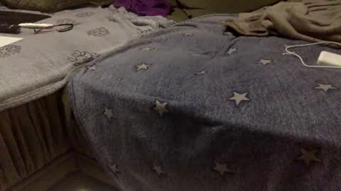 Aligator online show from 15, 11, 2025