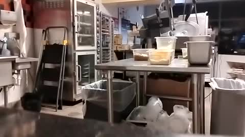 Snapshot of talldrink62 chatting on 10, 9, 2025 The Man of Steel online show from 10, 9, 2025