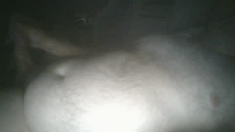 Snapshot of tallicas2000 chatting on 16, 7, 2026 tallicas2000 online show from 16, 7, 2026