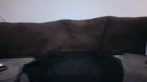 tarshil017 online show from 12, 11, 2025