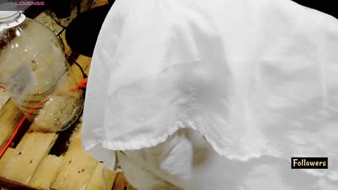 instagram Gattitasha online show from 26, 2, 2025