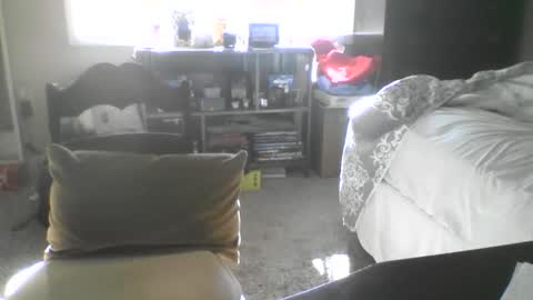 Snapshot of tatman_1975 chatting on 13, 11, 2025 SuperDVA online show from 13, 11, 2025