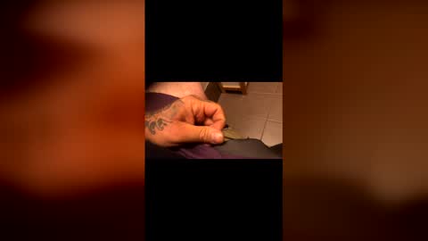 tattedtradie online show from 24, 4, 2026