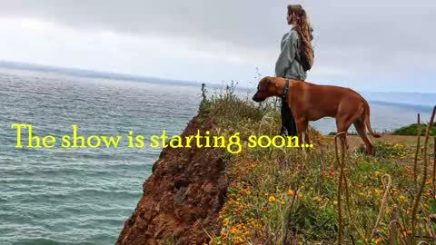Snapshot of tatum__kahlo chatting on 21, 5, 2026 TATUM ALL MY LINKS online show from 21, 5, 2026