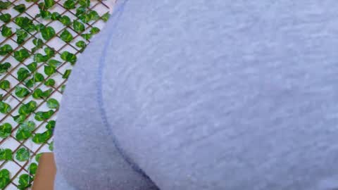 Taty Miller online show from 15, 2, 2026