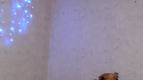 Taya online show from 9, 1, 2026