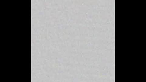  Little Taylor  online show from 14, 2, 2025