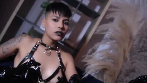 Taylor online show from 17, 2, 2026