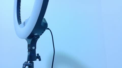 Snapshot of taylorsmitth_ chatting on 13, 11, 2025 TAYLOR online show from 13, 11, 2025