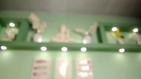 taylor online show from 9, 1, 2026