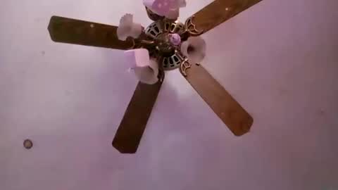 td42020 online show from 16, 9, 2025