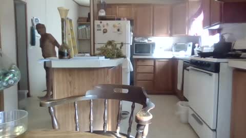 Teak online show from 1, 10, 2025