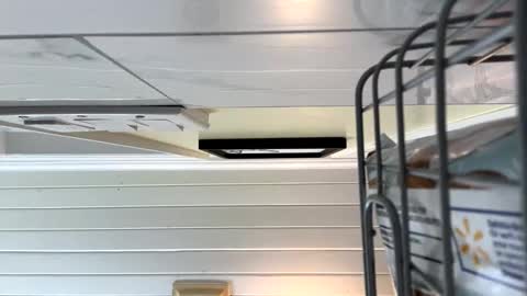 Twizzler online show from 16, 10, 2025