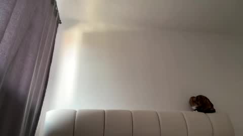 Snapshot of teffsweet18 chatting on 10, 4, 2026 Amy No penetration Virgiin giirl online show from 10, 4, 2026