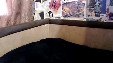 Snapshot of telema_ chatting on 18, 10, 2025 ruth online show from 18, 10, 2025