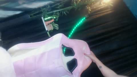 temptationcock69_iva online show from 7, 4, 2026