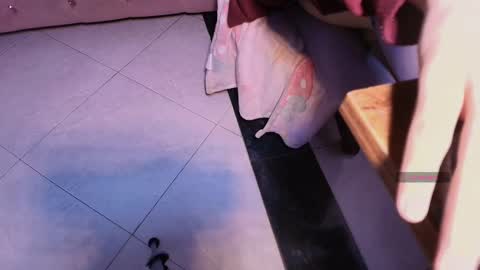 Terra Elowen online show from 6, 11, 2025