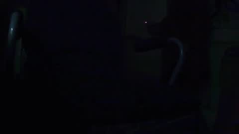 tetuo2 online show from 28, 9, 2025