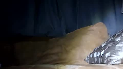 Snapshot of texasfried chatting on 29, 1, 2025 MauiMinded808 online show from 29, 1, 2025