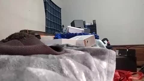 Snapshot of texasmade13 chatting on 24, 1, 2025 TexasDick online show from 24, 1, 2025