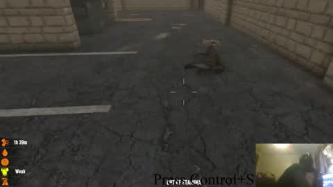 Snapshot of tg_cos chatting on 28, 10, 2025 . online show from 28, 10, 2025