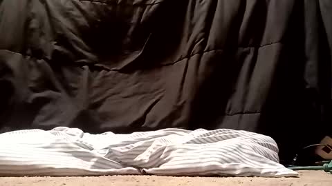 Snapshot of thatb1 chatting on 28, 9, 2025 thatb1 online show from 28, 9, 2025