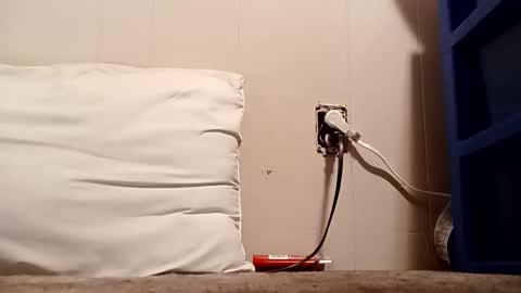 Snapshot of thatb1 chatting on 16, 12, 2025 thatb1 online show from 16, 12, 2025