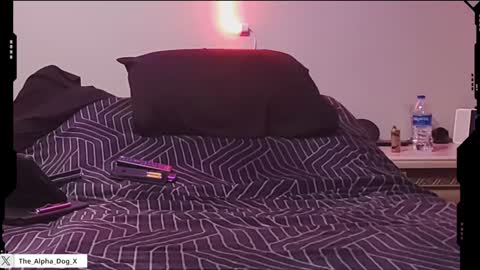 the_alpha_dog_xxx online show from 5, 2, 2025