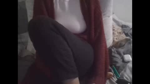 Snapshot of the_borderlands chatting on 13, 11, 2025 the crazy travellers online show from 13, 11, 2025