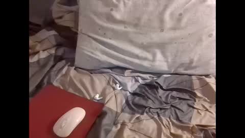 Snapshot of the_borderlands chatting on 1, 12, 2025 the crazy travellers online show from 1, 12, 2025