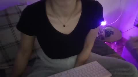 Snapshot of the_borderlands chatting on 4, 12, 2025 the crazy travellers online show from 4, 12, 2025