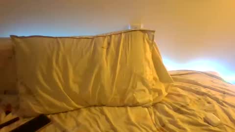 Snapshot of the_borderlands chatting on 19, 12, 2025 the crazy travellers online show from 19, 12, 2025