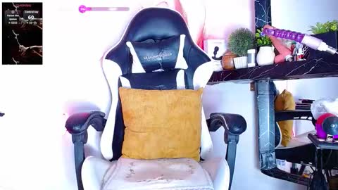 the dog lian online show from 26, 11, 2025