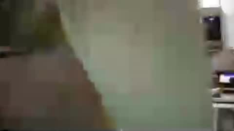 thebabybrii online show from 13, 7, 2026