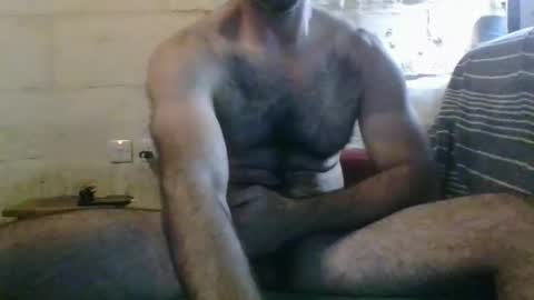 Thefatcurve online show from 26, 11, 2025