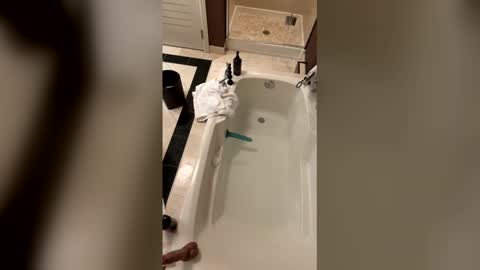 thedirtierthebetter8 online show from 19, 3, 2026