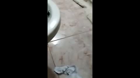 Snapshot of thedo121111 chatting on 1, 10, 2025 thedo121111 online show from 1, 10, 2025