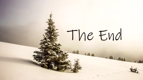 thedome372 online show from 3, 3, 2025