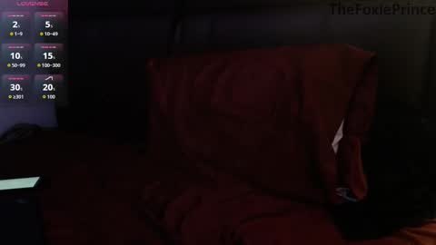 Snapshot of thefoxieprince chatting on 2, 12, 2025 thefoxieprince online show from 2, 12, 2025