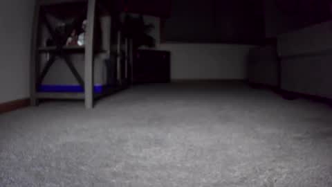 thegreat6268469 online show from 24, 12, 2024